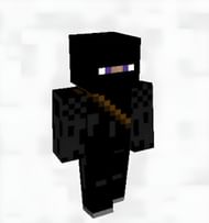 Assassin Ninja skin (Image via SkinsMC)